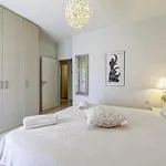 Luxury Stella *
